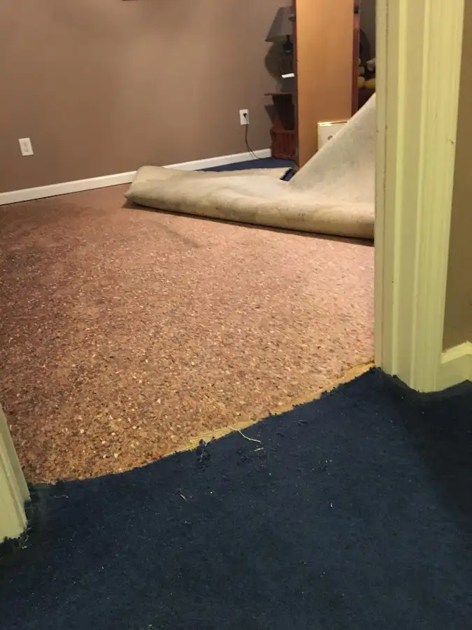 Carpet pad removal revealing water damage during Water Mitigation Services in Platteville