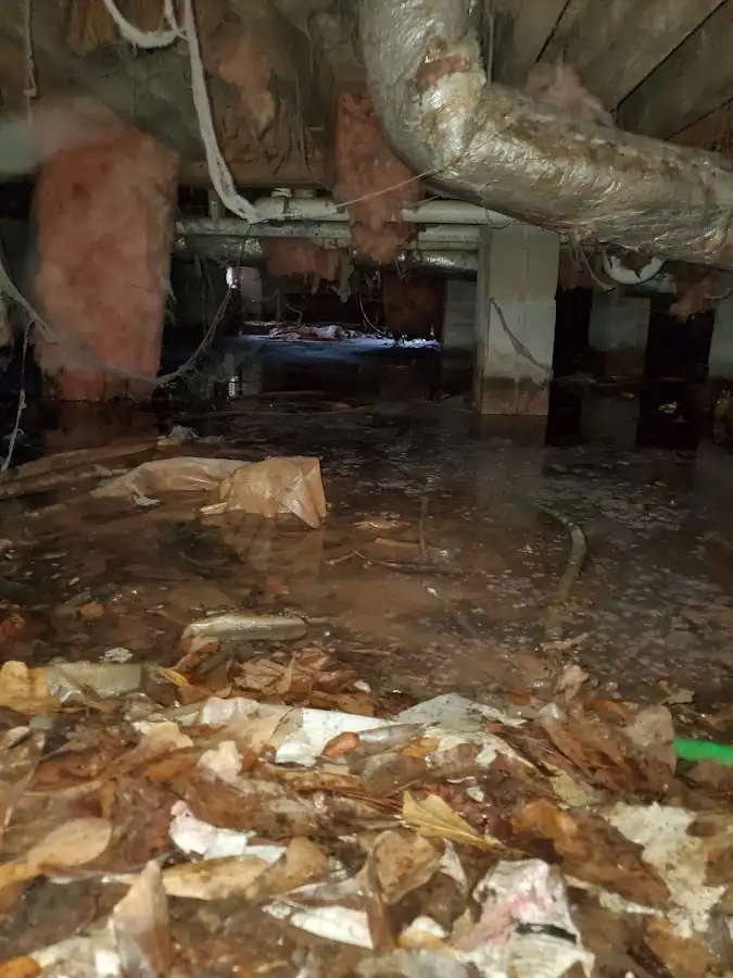 Crawl space flood assessment for Leak Detection & Repair in Platteville